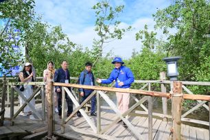 Khám phá rừng ngập mặn ở Đồ Sơn, TP Hải Phòng