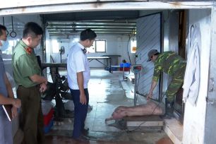 Hưng Yên: Khởi tố vợ chồng cố ý giết mổ heo nhiễm bệnh