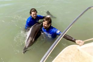 Liên minh bảo vệ sự sống đại dương