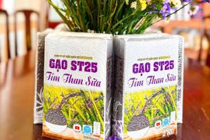 Ra mắt sản phẩm gạo ST25 tím than sữa
