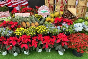 Đồng Tháp khai mạc không gian hoài niệm chợ nổi Cái Bè