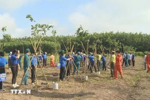 Việt Nam trồng được hơn 1,4 tỷ cây xanh trong 5 năm qua