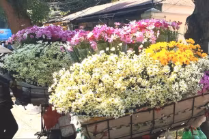 Nhớ Hà Nội, nhớ những chuyến xe hoa