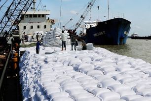 Senegal tạm dừng nhập khẩu gạo trong 1 th&#225;ng để hỗ trợ ti&#234;u thụ nội địa