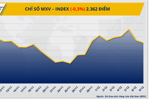 H&#224;ng h&#243;a thế giới ph&#226;n h&#243;a mạnh: Bạc lập đỉnh, dầu th&#244; chịu &#225;p lực dư cung