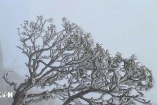 Sơn La cảnh báo xuất hiện băng tuyết từ đêm 13-12