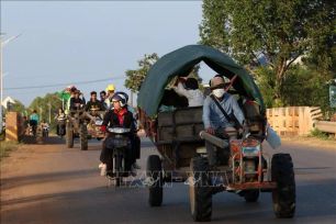 Ông Trump tuyên bố Thái Lan - Campuchia đã nhất trí ngừng bắn