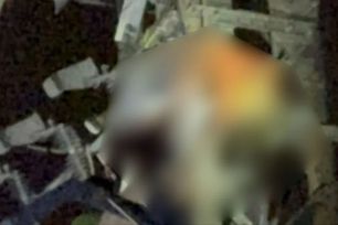 Điện lực Khánh Hòa thông tin vụ người đàn ông tử vong trên trụ điện