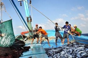 VASEP kêu gọi hội viên tăng cường chống khai thác IUU