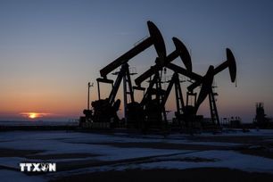 Triển vọng hòa bình Nga - Ukraine kéo giá dầu xuống đáy nhiều năm
