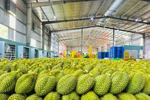 Xuất khẩu rau quả sang Thái Lan sụt giảm kỷ lục