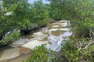 Khẩn trương xử lý sự cố tràn dầu Diesel ra đồng ruộng