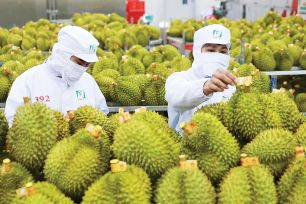 Kỳ tích xuất khẩu năm 2025