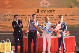 Toàn Cầu mở rộng diện tích lúa chất lượng cao, phát thải thấp