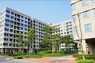 TP.HCM ban hành quy định mới về mua, thuê mua nhà ở xã hội