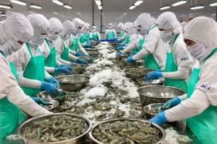 Xuất khẩu thủy sản phục hồi rõ nét, đạt hơn 11 tỷ USD trong năm 2025