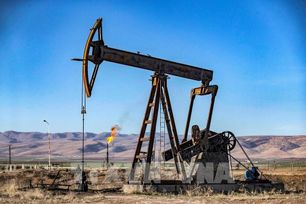 Giá dầu giảm nhẹ trước những rủi ro nguồn cung từ Venezuela