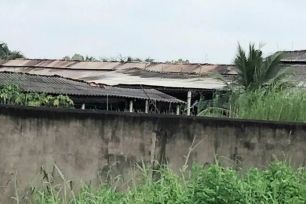 Tây Ninh: Buộc dừng hoạt động trại gà gây ô nhiễm trong khu dân cư