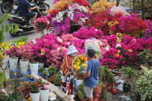 Theo dấu mùa xuân phương Nam