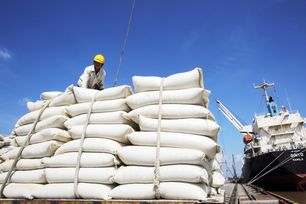 Xuất khẩu gạo Việt Nam năm 2025 vượt 8 triệu tấn