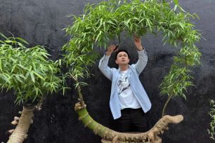 Biến những gốc tre xù xì thành tác phẩm bonsai độc đáo