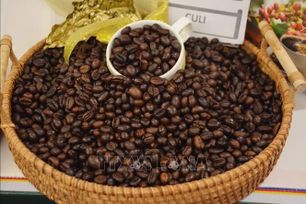 Thị trường cà phê khởi sắc khi rủi ro nguồn cung Brazil gia tăng