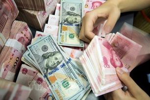 Thị trường ngoại tệ ổn định, USD và NDT gần như đi ngang