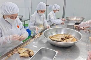 HUBA tổng kết năm 2025, kiến nghị tháo gỡ điểm nghẽn cho doanh nghiệp