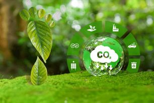 Quy định về sàn giao dịch carbon trong nước