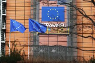 EC công bố Đạo luật Mạng lưới kỹ thuật số