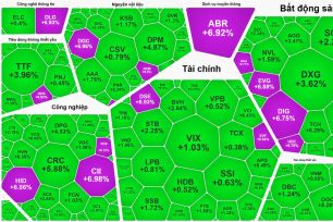 Cổ phiếu bất động sản tăng mạnh