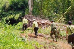 Đồng Nai: Nhân viên bảo vệ bị chém trọng thương khi tuần tra rừng