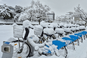 Nhật Bản: Tuyết rơi dày, giao thông tê liệt