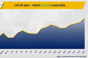 MXV-Index lập kỷ lục mới, năng lượng và kim loại quý dẫn sóng