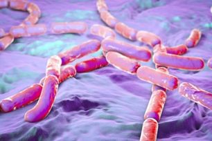 Vi khuẩn Bacillus cereus liên quan việc thu hồi một lô sữa tại Anh