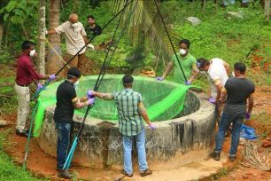 Những điều cần biết về virus Nipah đang lây lan ở Ấn Độ