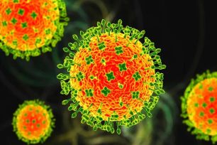 Tăng cường giám sát, ứng phó virus Nipah