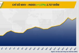 MXV-Index tăng mạnh trở lại, vượt mốc 2.700 điểm