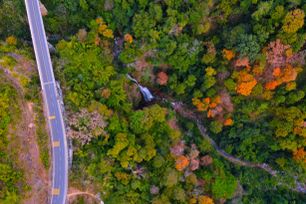 Rực rỡ sắc màu trên cung đường đèo Măng Đen