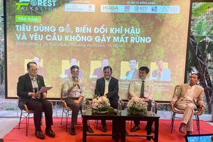 Tiêu dùng gỗ bền vững trước áp lực biến đổi khí hậu và yêu cầu không gây mất rừng