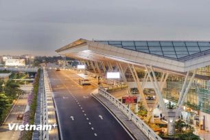 Đà Nẵng kích hoạt 3 kịch bản ứng phó với virus Nipah từ Ấn Độ