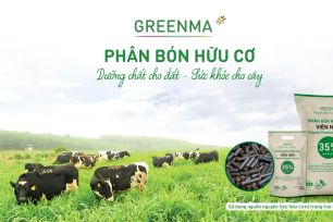 Phân bón hữu cơ Greenma được vinh danh “Nhà cung ứng xuất sắc Việt Nam năm 2025”