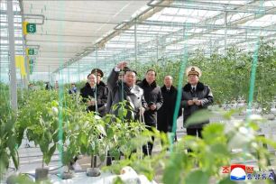 Triều Tiên khánh thành trang trại nhà kính lớn nhất lịch sử