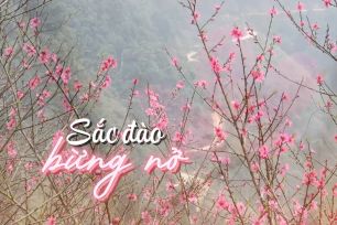 Mở hội hoa đào vùng biên viễn