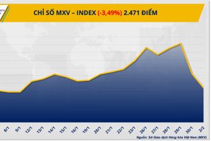 Sắc đỏ bao trùm thị trường hàng hóa, MXV-Index giảm sâu