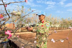 Người lính mũ nồi xanh mang tết Việt đến châu Phi