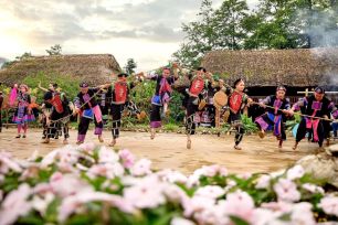 Phong vị tết Việt rộn ràng từ núi cao đến biển xanh