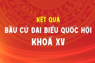 Kết quả bầu cử đại biểu Quốc hội khóa XV