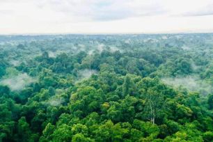 Khoảnh khắc cuối mùa đông