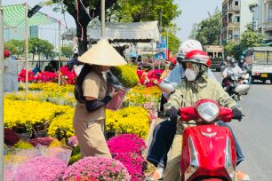 Chợ hoa tết Bến Bình Đông: Cà pháo, cải kiểng hút khách